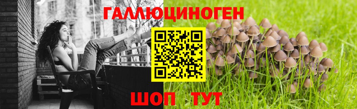 Псилоцибиновые грибы мухоморы Аксай